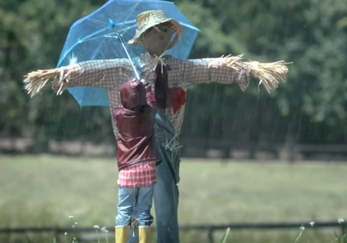 Actimel “Scarecrow”