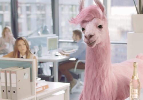 Jules Mumm “Jules”