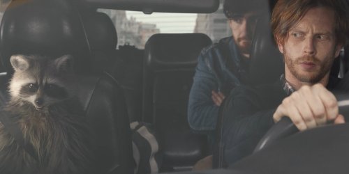 VW Tiguan “Raccoon”