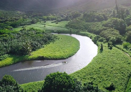 Cheetos “Chameleon”