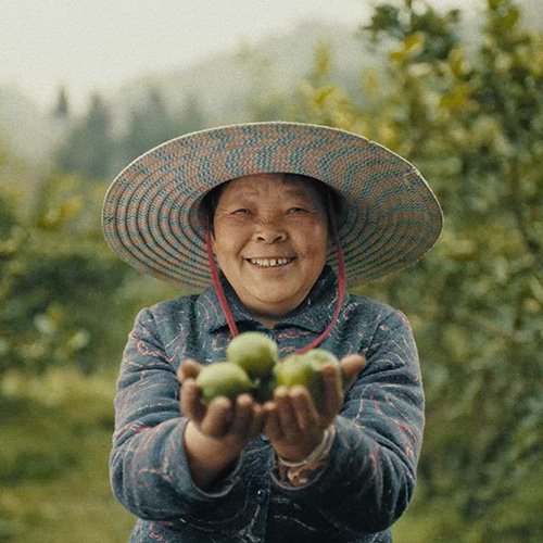 Corona “Extra Lime”